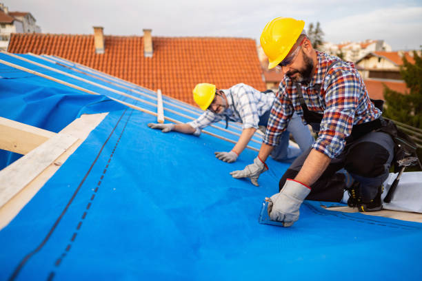 Roof Insulation in Fairlea, WV